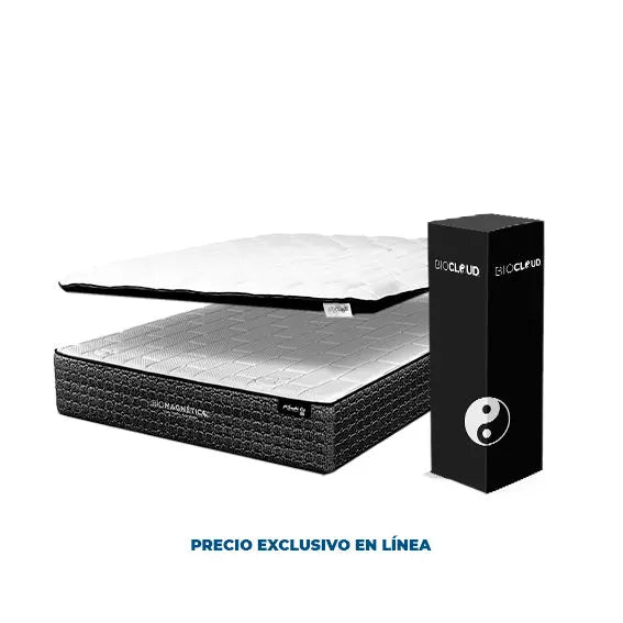 Combo Kinebi Midnight